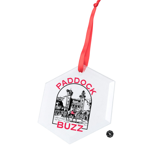 Paddock Buzz Hexagonal Glass Ornament