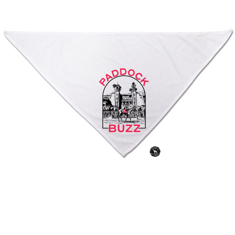 Paddock Buzz Dog Bandana