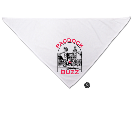 Paddock Buzz Dog Bandana
