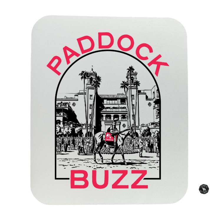 Paddock Buzz Mouse Pad