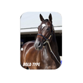 Load image into Gallery viewer, Bold Type Rectangular Magnet

