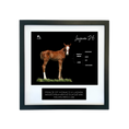 Load image into Gallery viewer, Prince of Monaco X Lazara '26 - Breeder's Photo
