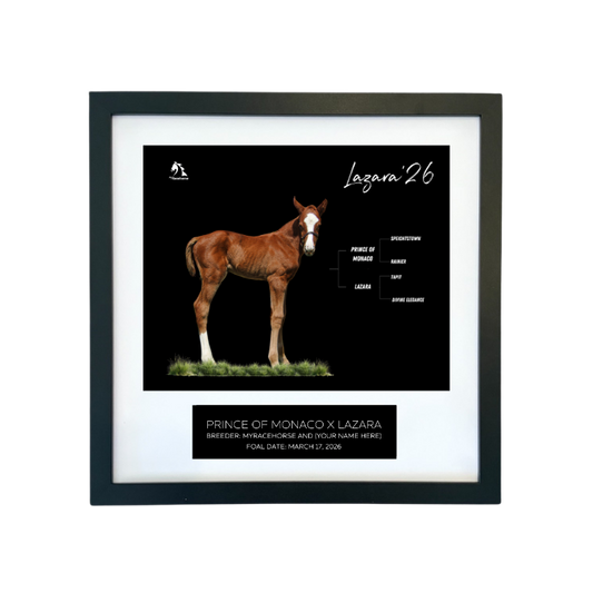 Prince of Monaco X Lazara '26 - Breeder's Photo