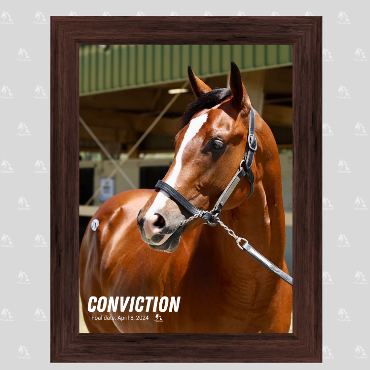 Conviction Portrait Photo