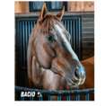 Load image into Gallery viewer, Bacio Barn Portrait Photo
