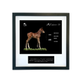 Load image into Gallery viewer, Vekoma X Littlest Warrior '26 - Breeder's Photo
