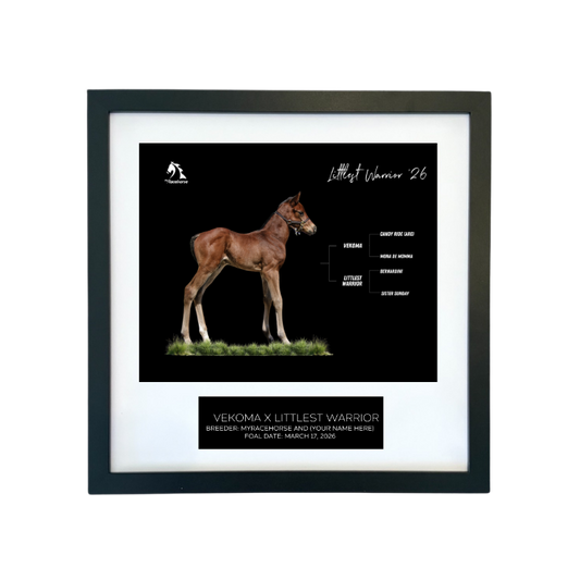 Vekoma X Littlest Warrior '26 - Breeder's Photo