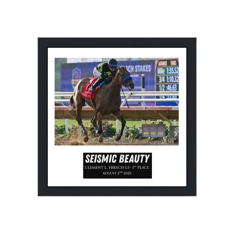Seismic Beauty - Clement L. Hirsch Photo Frame