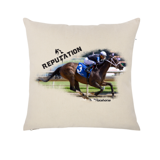 Reputation Throw Pillow Case
