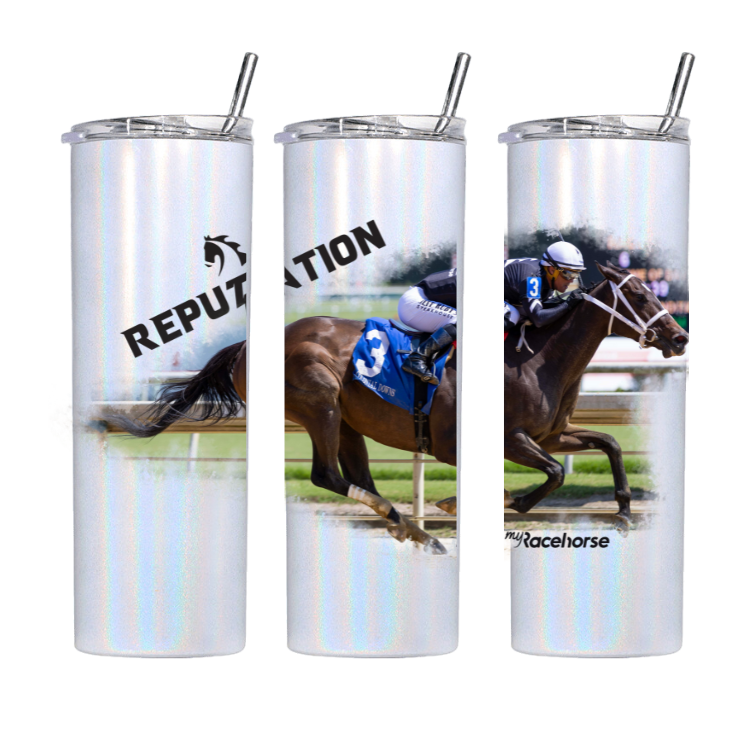 Reputation Tumbler