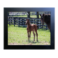 Load image into Gallery viewer, Seize the Grey X Community Adjusted 26' Candid Photo
