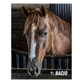 Load image into Gallery viewer, Bacio Barn Portrait Photo
