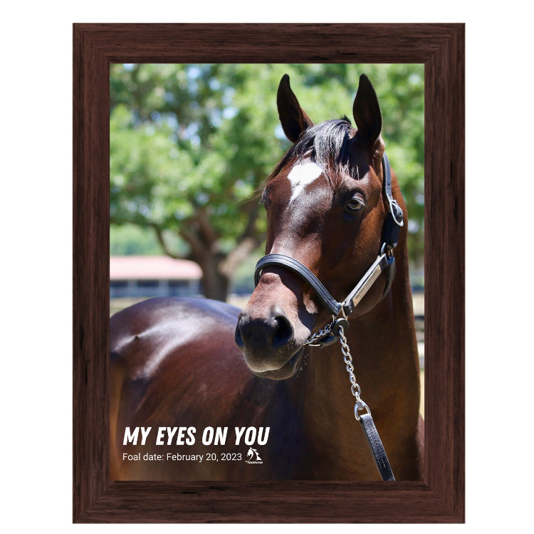 My Eyes on You Portrait Photo