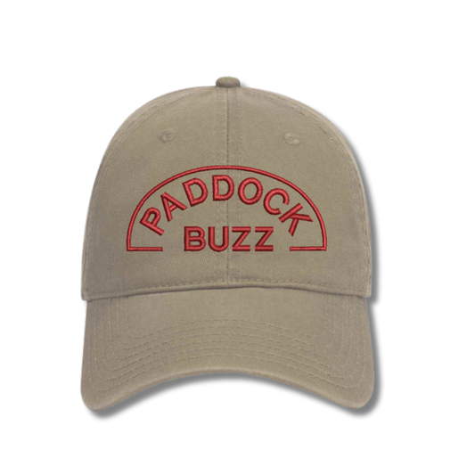 Paddock Buzz Dad Hat