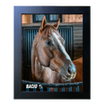 Load image into Gallery viewer, Bacio Barn Portrait Photo
