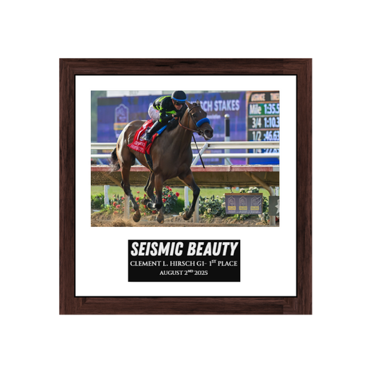 Seismic Beauty - Clement L. Hirsch Photo Frame
