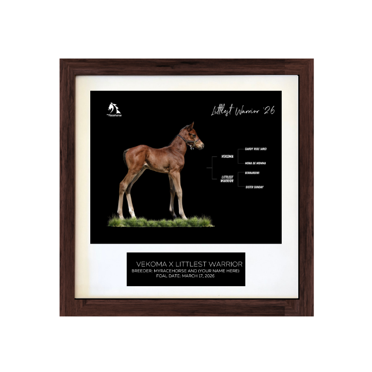 Vekoma X Littlest Warrior '26 - Breeder's Photo