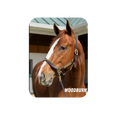 Load image into Gallery viewer, Woodburn Rectangular Magnet
