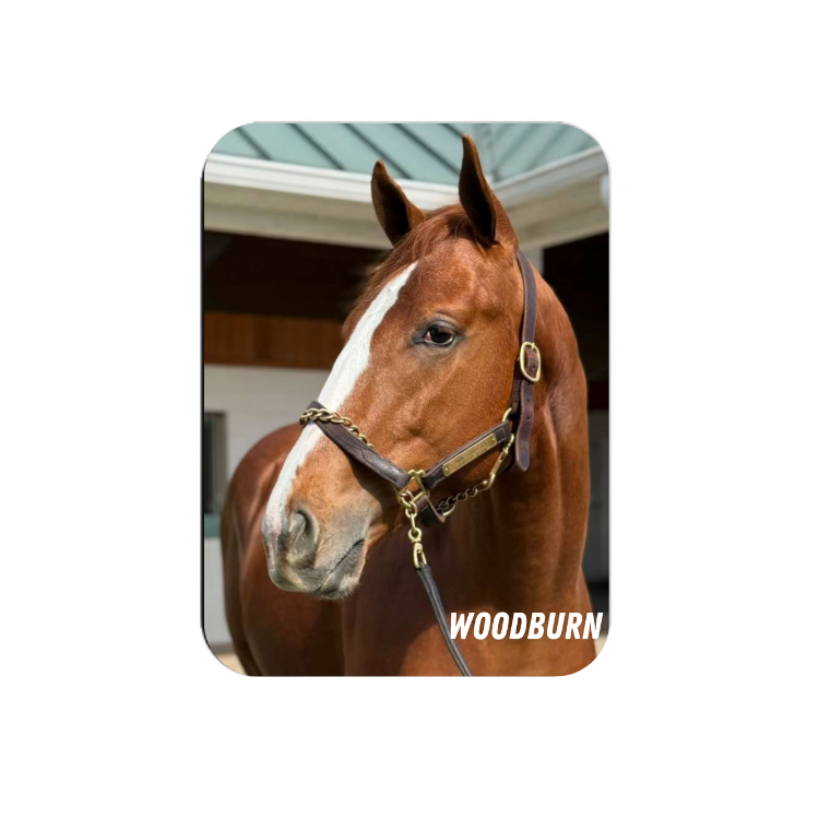 Woodburn Rectangular Magnet