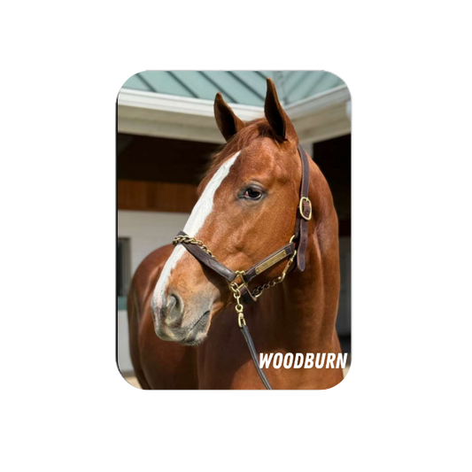 Woodburn Rectangular Magnet