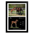 Load image into Gallery viewer, Vekoma X Littlest Warrior '26 - Collage Frame
