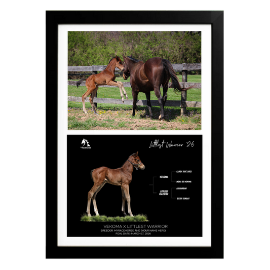 Vekoma X Littlest Warrior '26 - Collage Frame