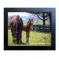 Load image into Gallery viewer, Seize the Grey X Community Adjusted 26' Candid Photo
