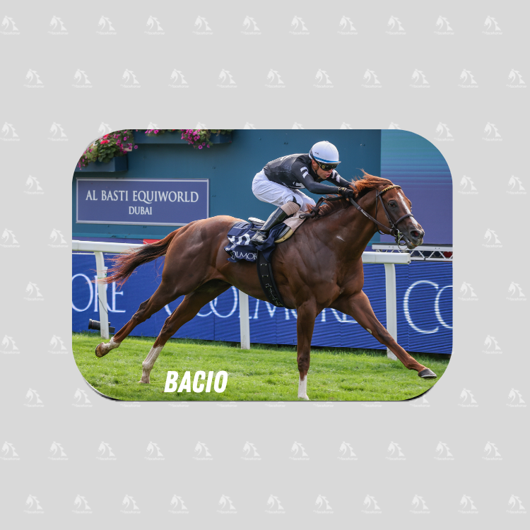 Bacio Nunthorpe Stakes Rectangular Magnet