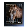 Load image into Gallery viewer, Bacio Barn Portrait Photo
