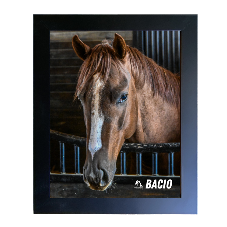 Bacio Barn Portrait Photo