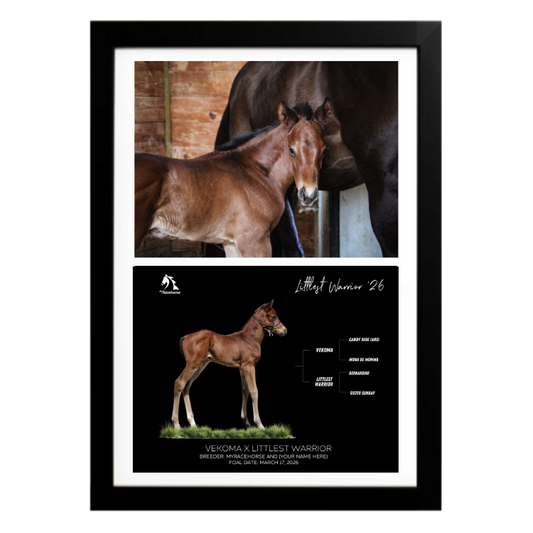 Vekoma X Littlest Warrior '26 - Collage Frame