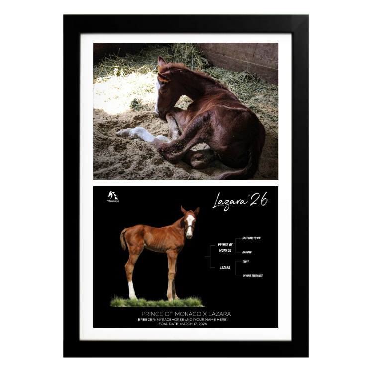 Prince of Monaco X Lazara '26 - Collage Frame