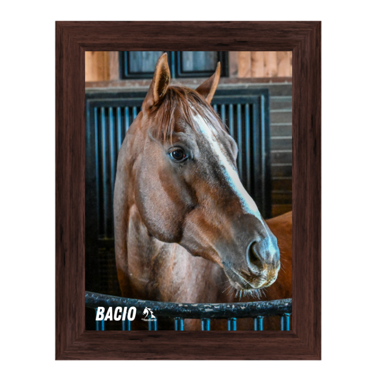 Bacio Barn Portrait Photo