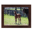 Load image into Gallery viewer, Seize the Grey X Community Adjusted 26' Candid Photo
