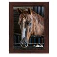Load image into Gallery viewer, Bacio Barn Portrait Photo
