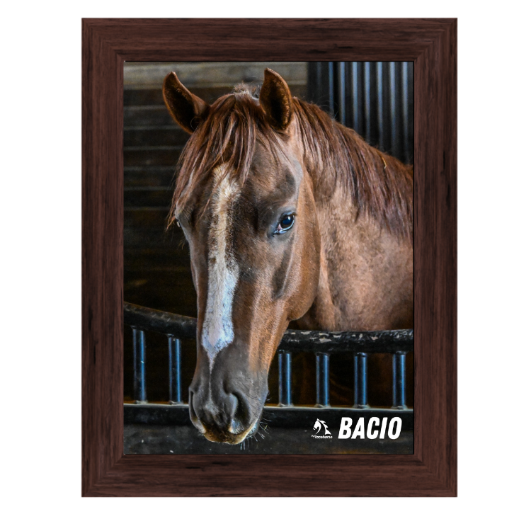 Bacio Barn Portrait Photo