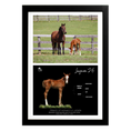 Load image into Gallery viewer, Prince of Monaco X Lazara '26 - Collage Frame
