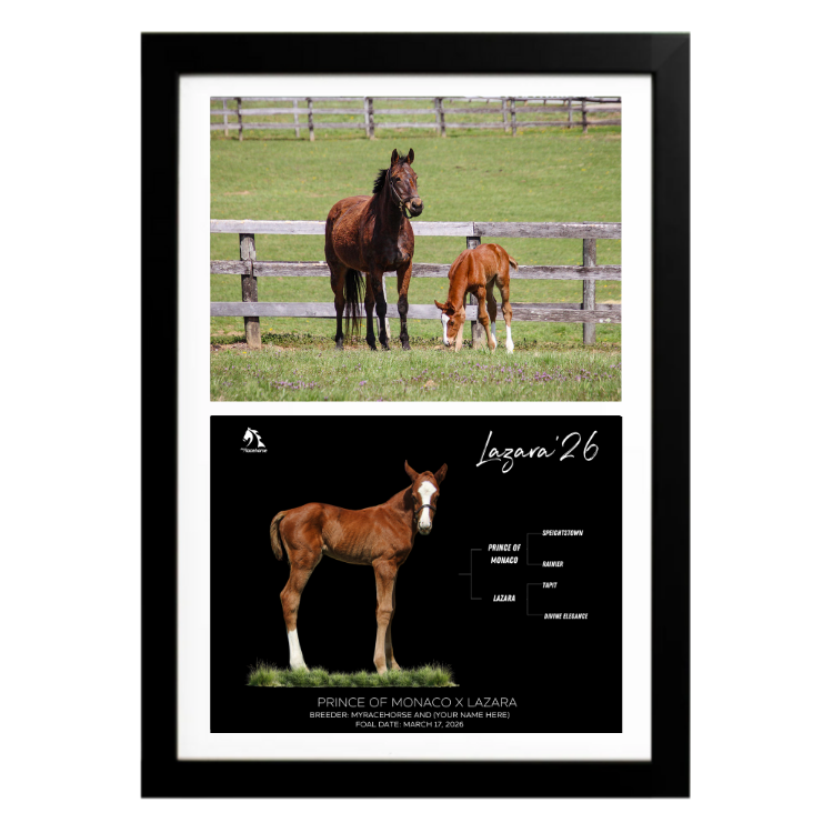 Prince of Monaco X Lazara '26 - Collage Frame