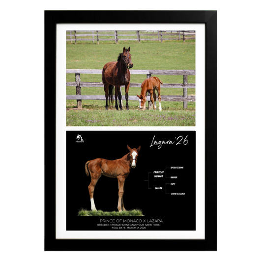 Prince of Monaco X Lazara '26 - Collage Frame