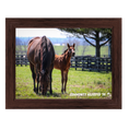 Load image into Gallery viewer, Seize the Grey X Community Adjusted 26' Candid Photo
