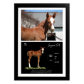 Load image into Gallery viewer, Prince of Monaco X Lazara '26 - Collage Frame
