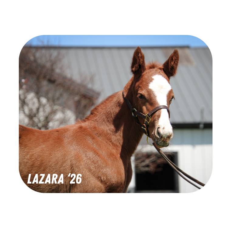 Prince of Monaco X Lazara '26 - Mouse Pad