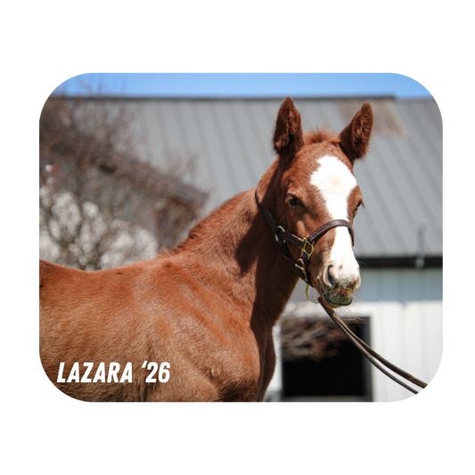 Prince of Monaco X Lazara '26 - Mouse Pad