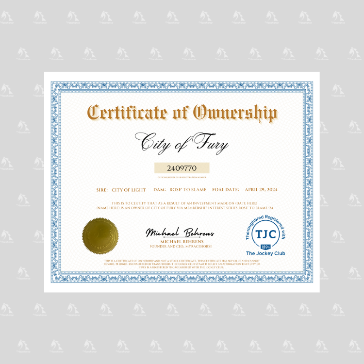 City of Fury Certificate of Ownership