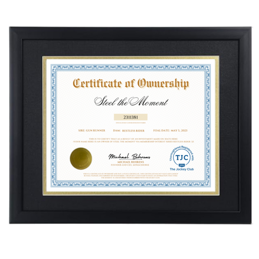 Steel the Moment Certificate of Ownership
