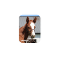 Load image into Gallery viewer, Prince of Monaco X Lazara '26 - Rectangular Magnet
