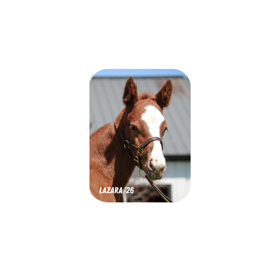 Prince of Monaco X Lazara '26 - Rectangular Magnet