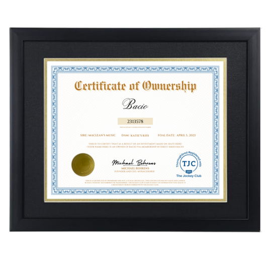 Bacio Certificate of Ownership