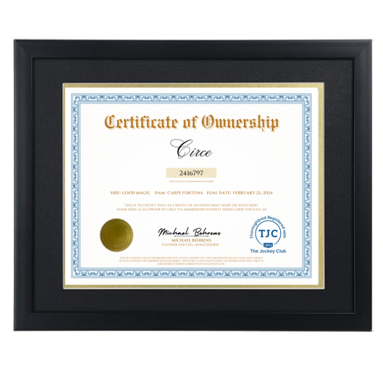 Circe Certificate of Ownership