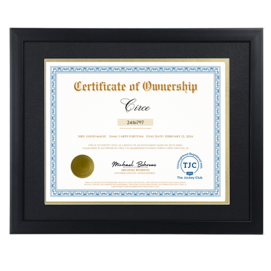 Circe Certificate of Ownership
